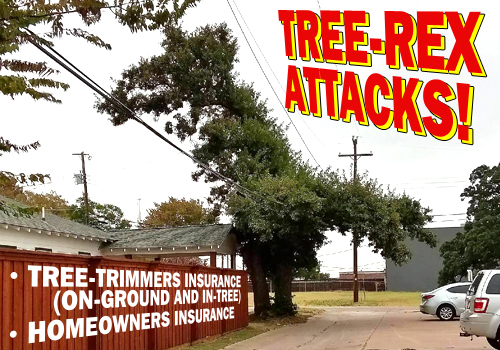 Tree-Rex Attacks. Tree trimmers insurance (on ground and in tree). Homeowners Insurance.. Texas Commercial Liability Services.